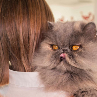 Haarballen bij katten: beter voorkomen dan genezen