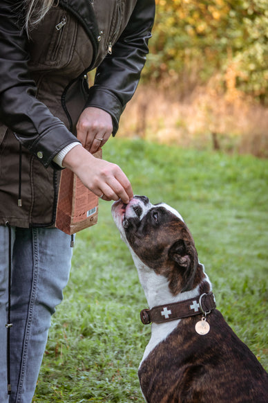 Gezonde hond, stralende vacht?