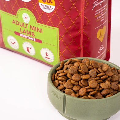 Delcon Adult Regular Mini rich in Lamb