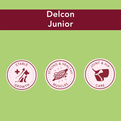 Trial Pack Dog - Delcon Junior