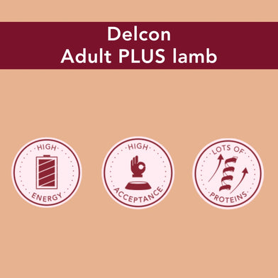 Trial Pack Dog - Delcon Regular Plus Rich in Lamb