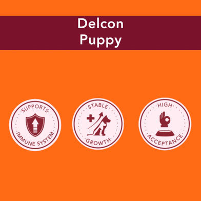 Trial Pack Dog - Delcon Puppy
