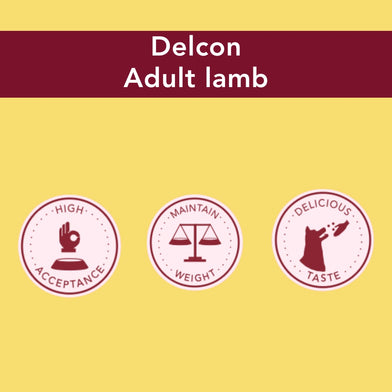 Proefpakket Delcon Adult Lamb (€12,95 bij checkout) - CODE: TestAdultLambOneTime