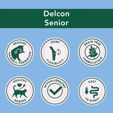 Trial Pack Cat - Senior