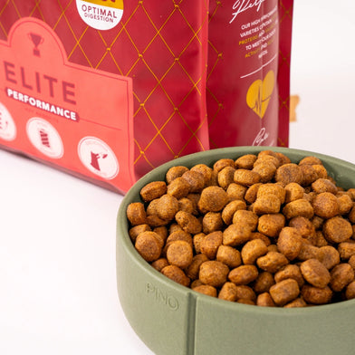 Delcon Elite