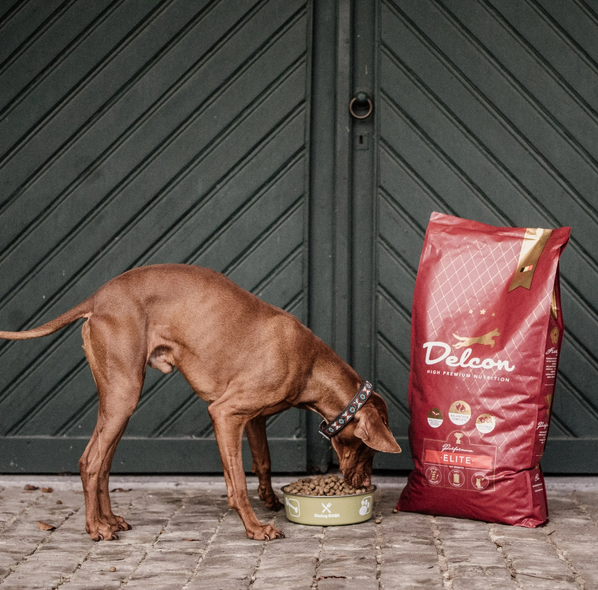 Laissez votre ami à quatre pattes le goûter en premier image