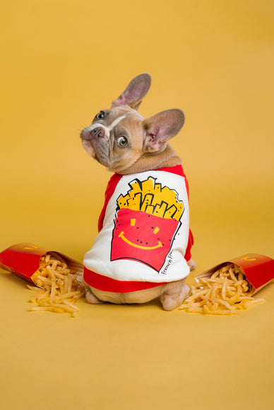 Help, mijn hond bedelt aan tafel!