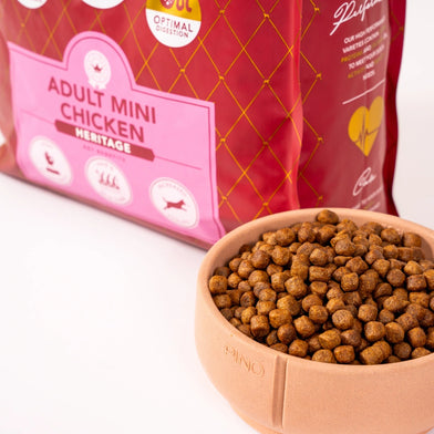 Delcon Adult Mini Chicken