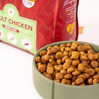 Delcon Adult Chicken