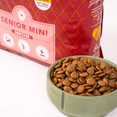Delcon Senior mini