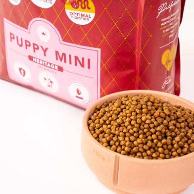 Delcon Puppy Mini