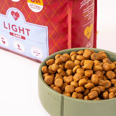 Delcon Light