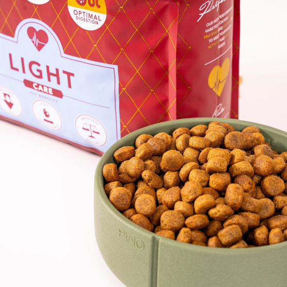 Delcon Light