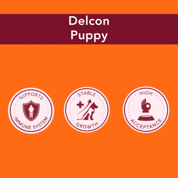 Trial Pack Dog - Delcon Puppy