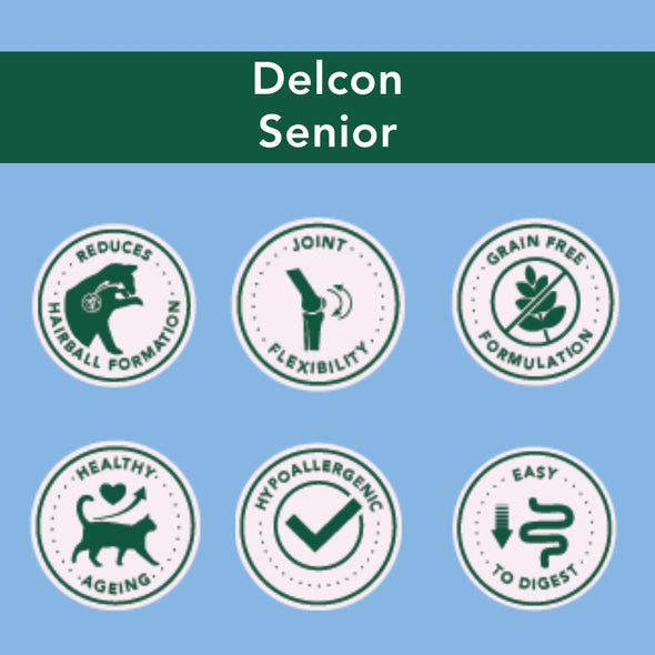 Trial Pack Cat - Senior