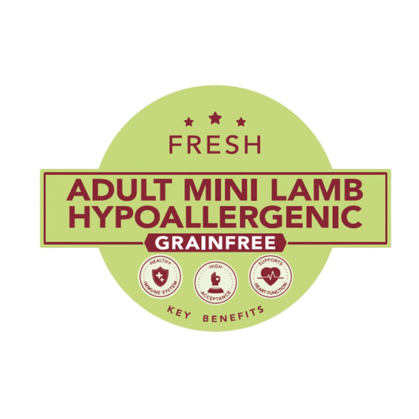 Delcon Adulte Mini Agneau Hypoallergénique