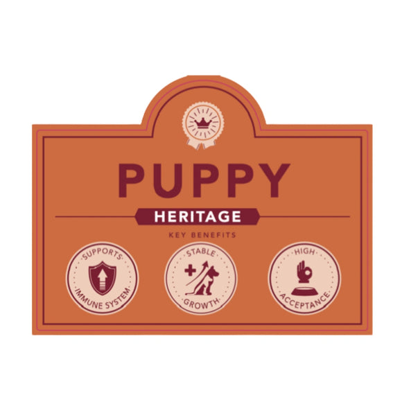 Delcon Puppy