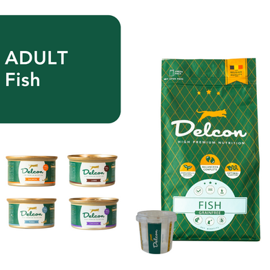 Essai de chat - Delcon Adult avec poisson