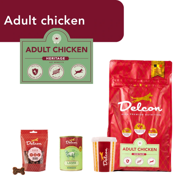 Trial Pack Dog - Delcon Regular Rich in Chicken